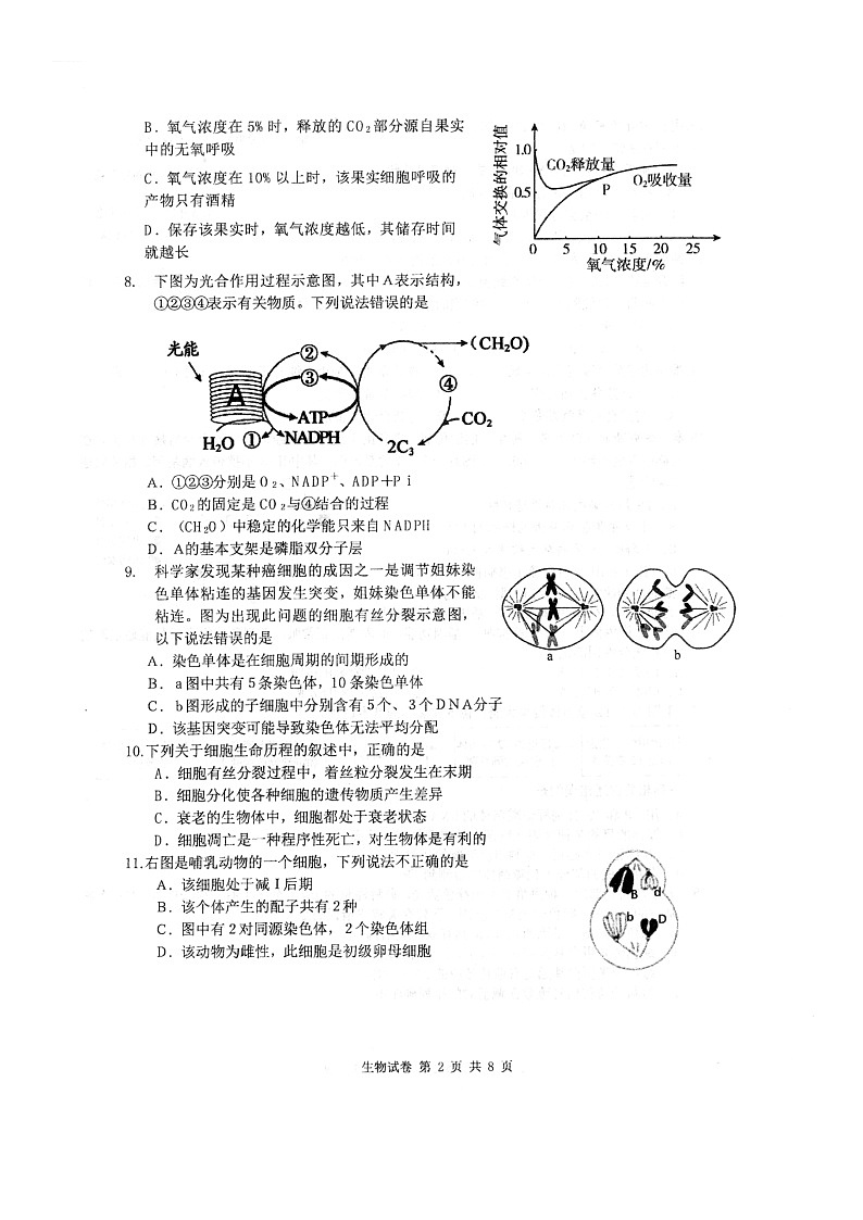 [生物][期末]2024北京理工大附中高一下学期期末生物试卷第2页