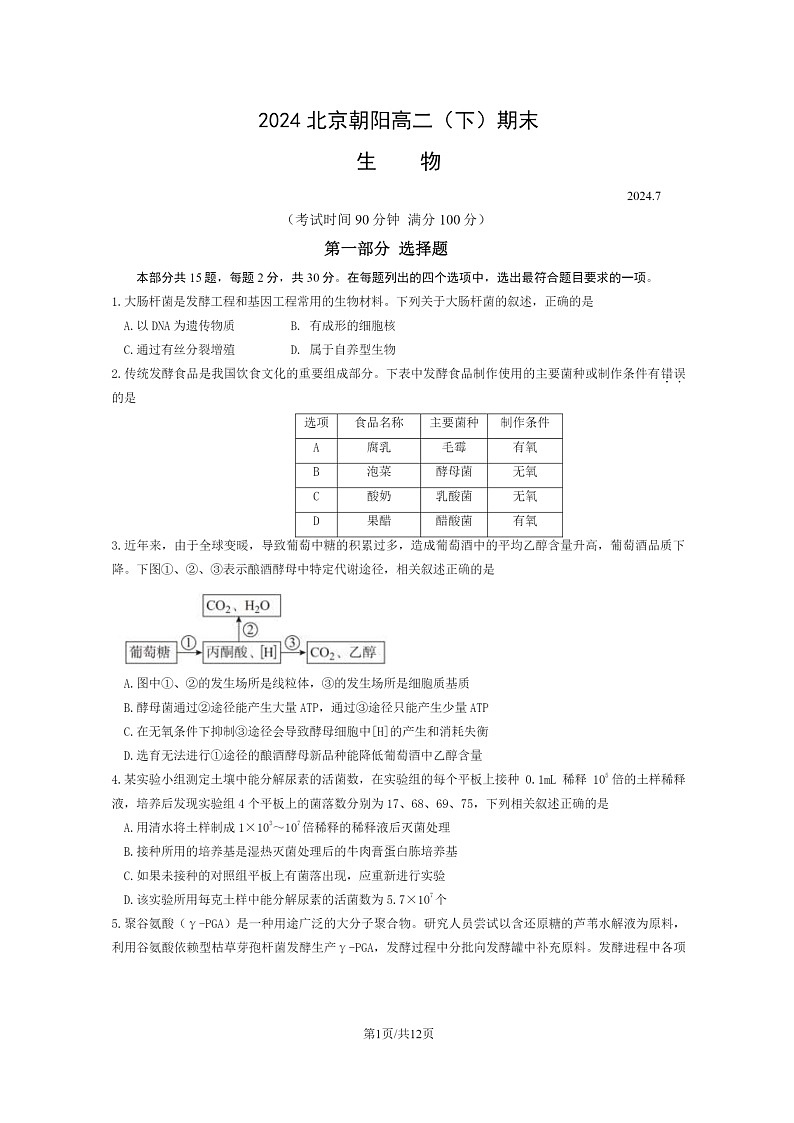 [生物][期末]2024北京朝阳高二下学期期末生物试卷及答案第1页
