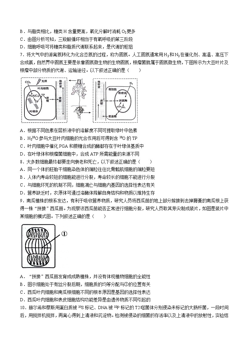 重庆市巴蜀中学2023-2024学年高一下学期7月期末考试生物试题（Word版附解析）第3页