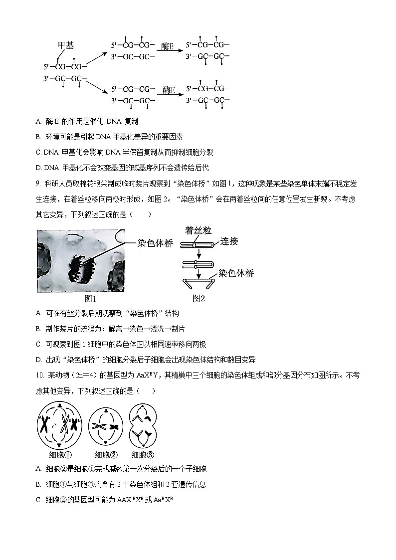 浙江省舟山市2023-2024学年高二下学期6月期末生物试题（Word版附解析）03
