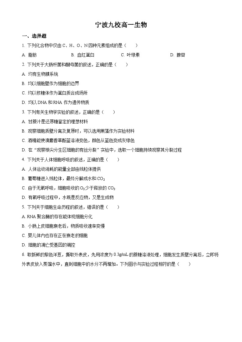浙江省宁波市九校2023-2024学年高一下学期6月期末联考生物试题（Word版附解析）01