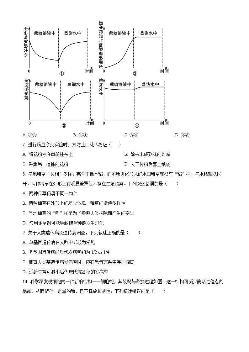 浙江省宁波市九校2023-2024学年高一下学期6月期末联考生物试题（Word版附解析）02