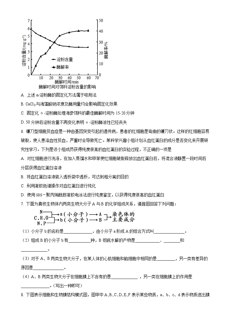 四川省内江市第一中学2023-2024学年高三下学期6月月考生物试题（Word版附解析）03