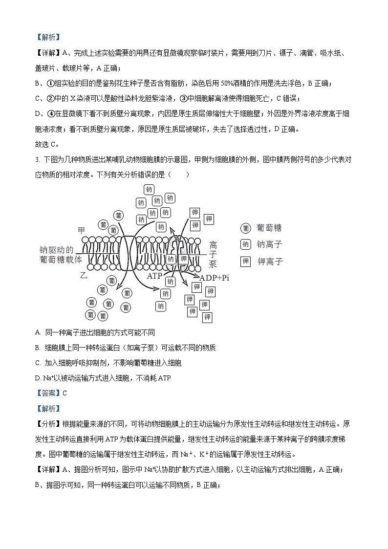 四川省内江市第一中学2023-2024学年高三下学期6月月考生物试题（Word版附解析）02