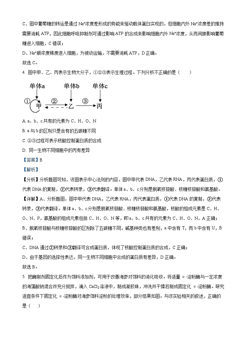 四川省内江市第一中学2023-2024学年高三下学期6月月考生物试题（Word版附解析）03