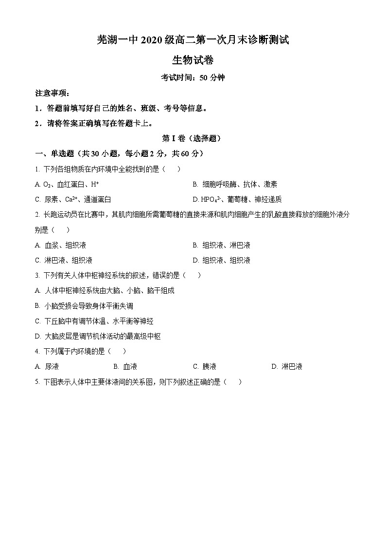 安徽省芜湖市第一中学2021-2022学年高二上学期10月月考生物试题（Word版附解析）01