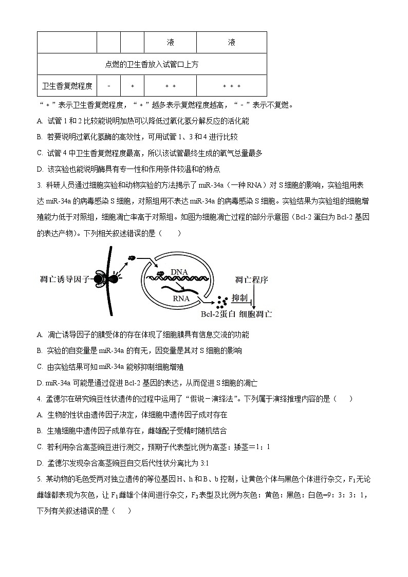 安徽省太和中学2023-2024学年高一下学期期中教学质量检测生物试题（Word版附解析）02
