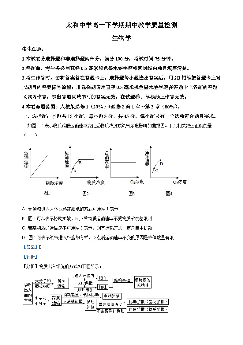 安徽省太和中学2023-2024学年高一下学期期中教学质量检测生物试题（Word版附解析）01
