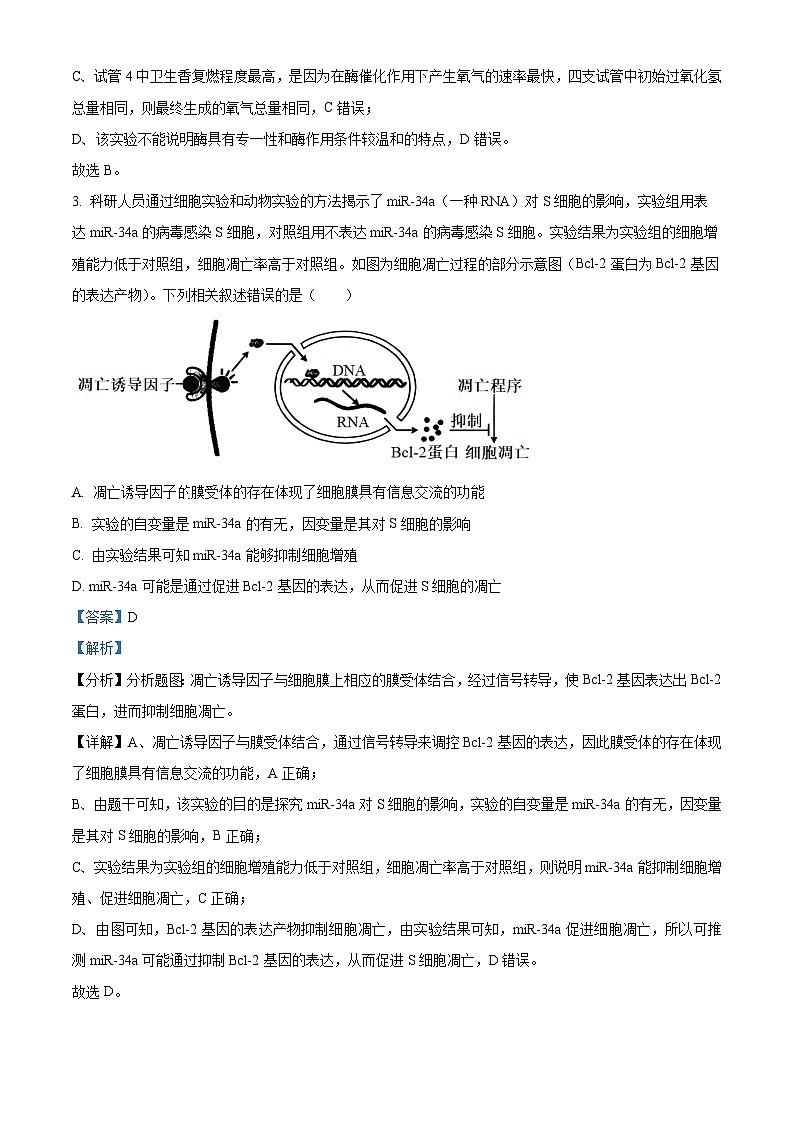 安徽省太和中学2023-2024学年高一下学期期中教学质量检测生物试题（Word版附解析）03