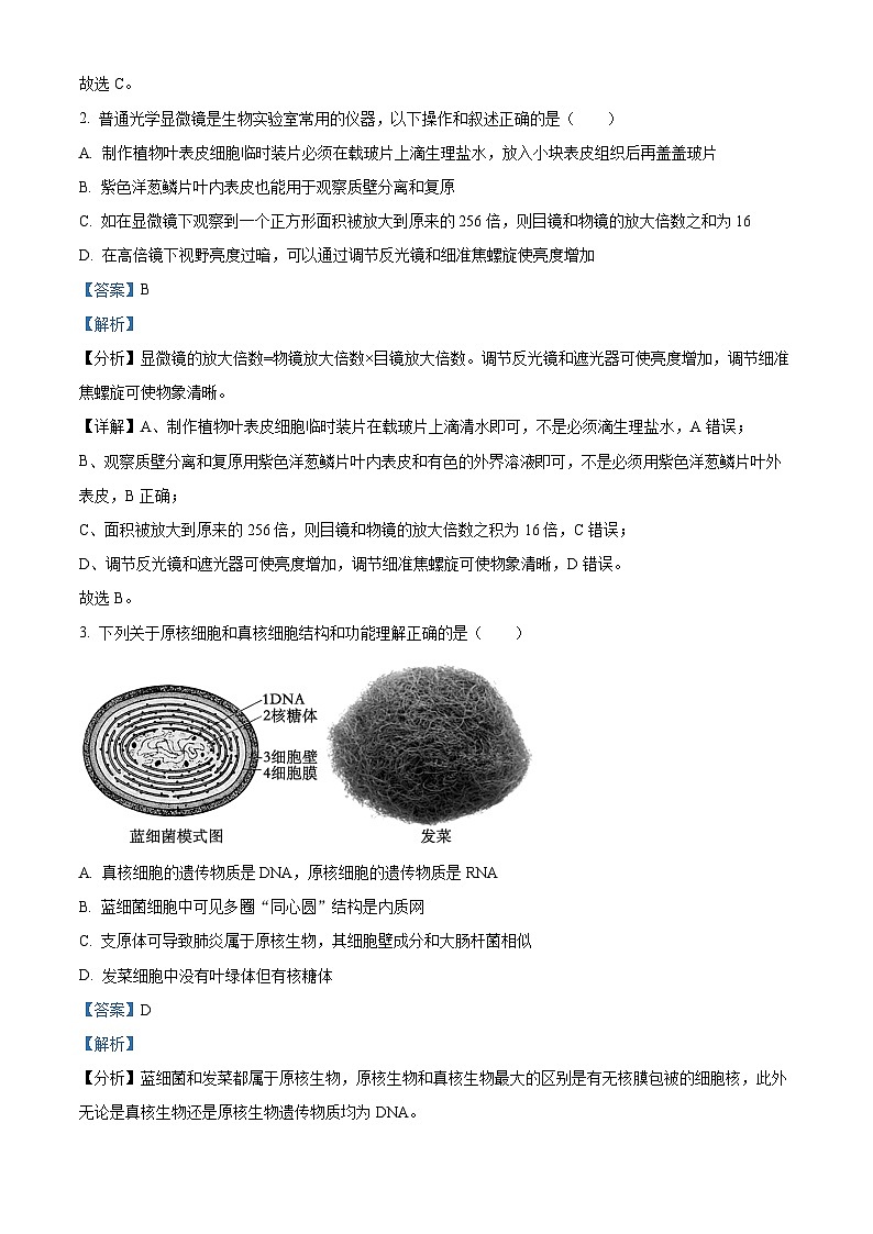 安徽省芜湖市镜湖区安徽师范大学附属中学2023-2024学年高一下学期12月分科诊断模拟考试生物试题 Word版含解析第2页