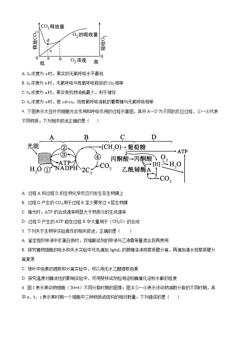 安徽省芜湖市第一中学2021-2022学年新高二上学期暑期返校测试生物试题（Word版附解析）02