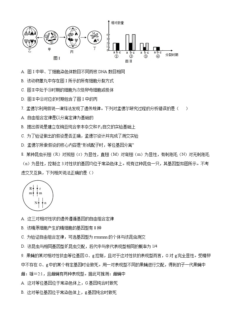 安徽省芜湖市第一中学2021-2022学年新高二上学期暑期返校测试生物试题（Word版附解析）03