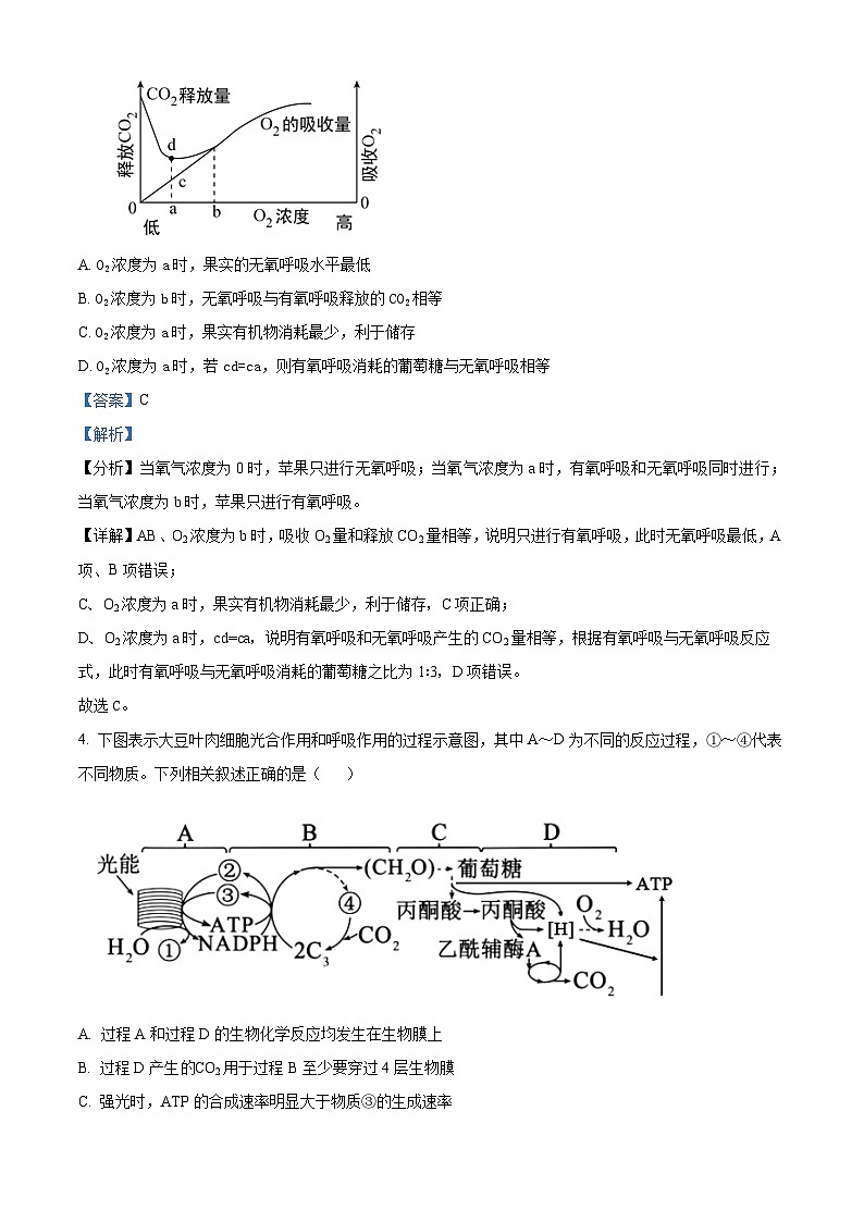 安徽省芜湖市第一中学2021-2022学年新高二上学期暑期返校测试生物试题（Word版附解析）03