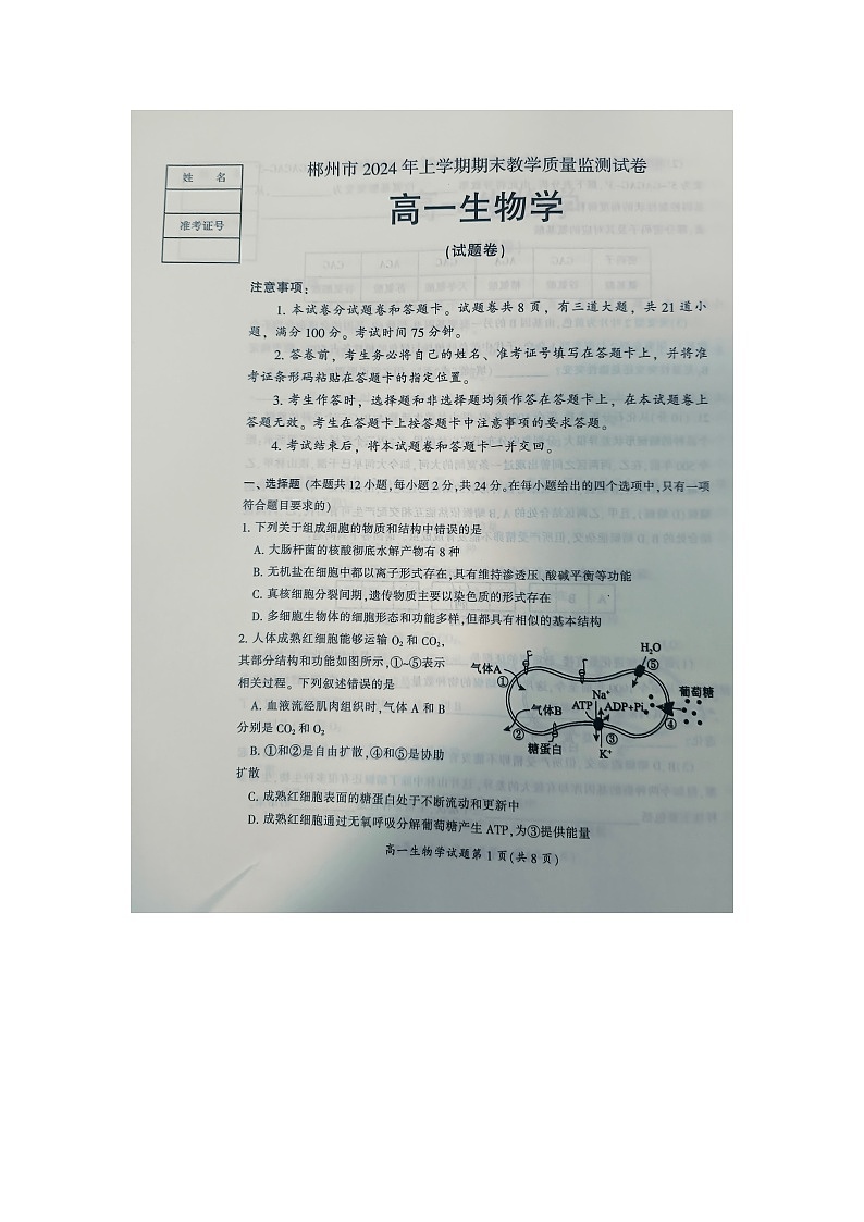 湖南省郴州市北湖区等5地2023-2024学年高一下学期期末考试生物试题01