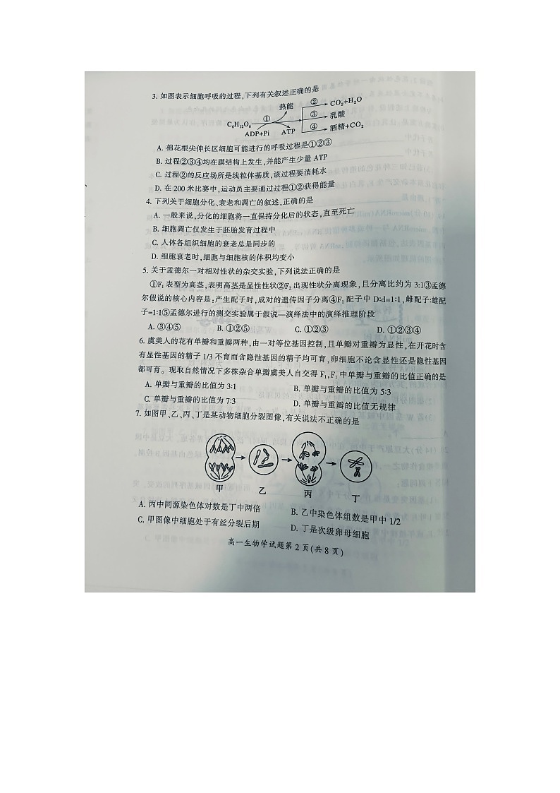 湖南省郴州市北湖区等5地2023-2024学年高一下学期期末考试生物试题02