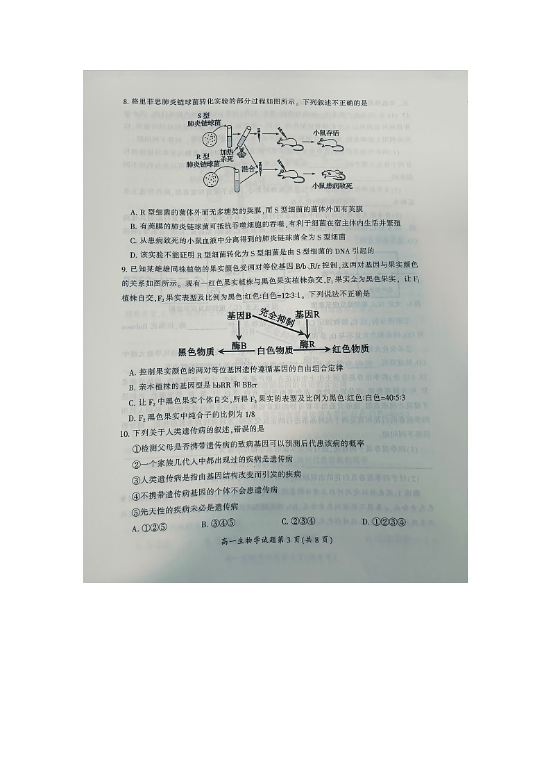 湖南省郴州市北湖区等5地2023-2024学年高一下学期期末考试生物试题03