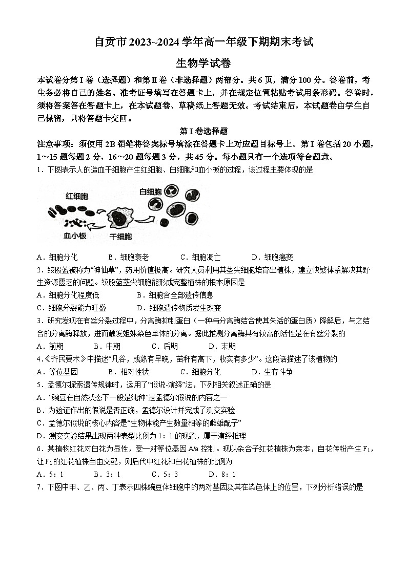 四川省自贡市2023-2024学年高一下学期期末考试生物学试题(无答案)第1页