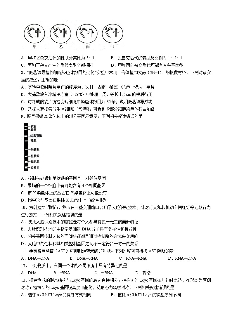 四川省自贡市2023-2024学年高一下学期期末考试生物学试题(无答案)第2页