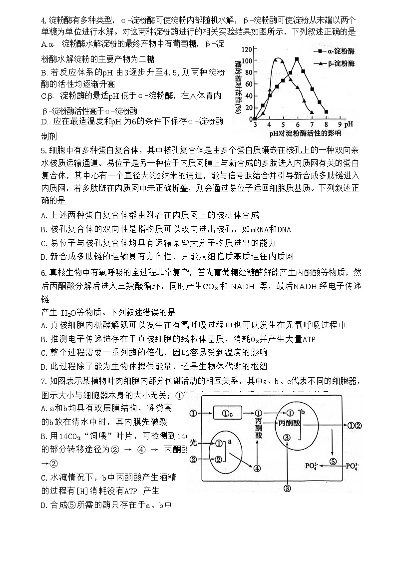 山东省东营市2023-2024学年高二下学期7月期末生物试题02