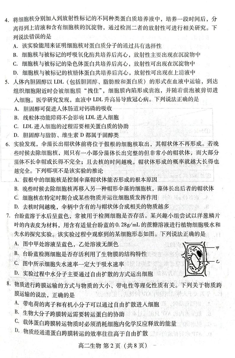 山东省潍坊市2023-2024学年高二下学期期末考试生物试卷02