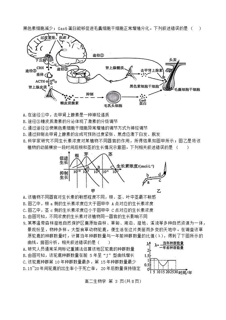 河南省漯河市2023-2024学年高二下学期期末质量监测生物试题03