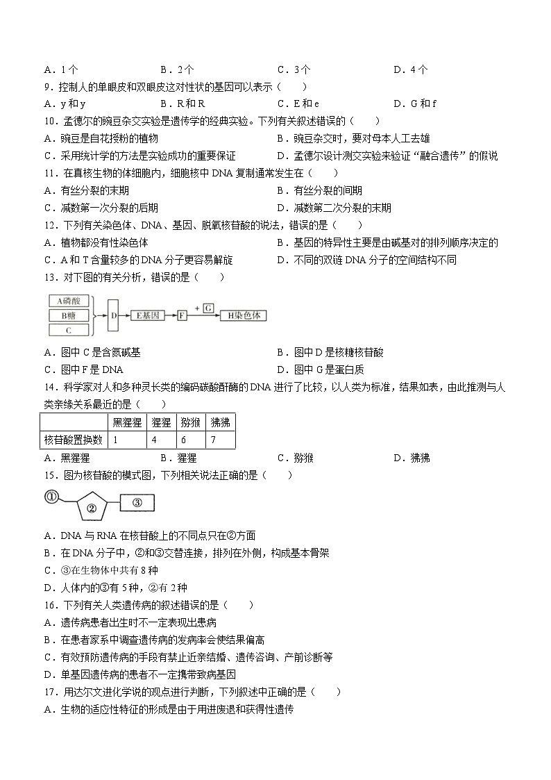 新疆维吾尔自治区省直辖县级行政单位图木舒克市新疆兵团2023-2024学年高一下学期期末考试生物试卷(无答案)02