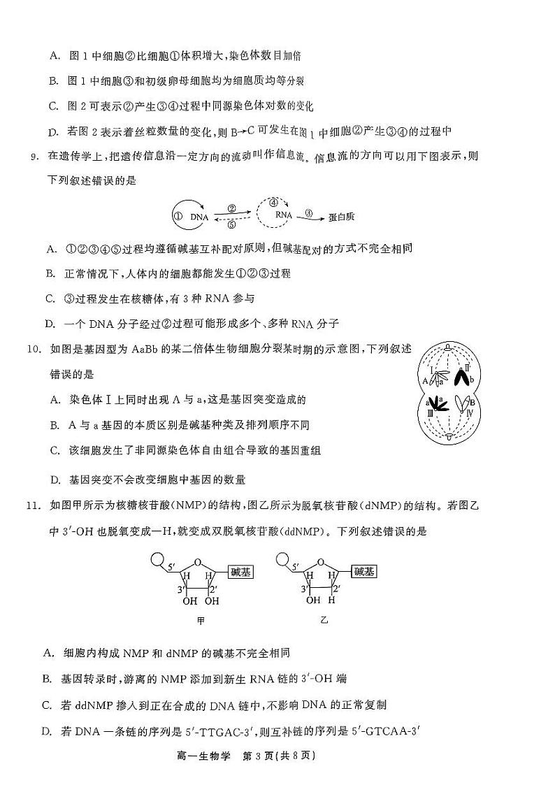 吉林省白山市2023-2024学年高一下学期7月期末生物试题03
