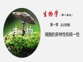 新人教版  高中 生物必修一 第一章第二节细胞的多样性和统一性课件ppt