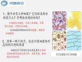 新人教版  高中 生物必修一 第一章第二节细胞的多样性和统一性课件ppt