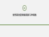 新人教版  高中 生物必修一 第一章第二节细胞的多样性和统一性课件ppt