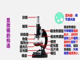 新人教版  高中 生物必修一 第一章第二节细胞的多样性和统一性课件ppt