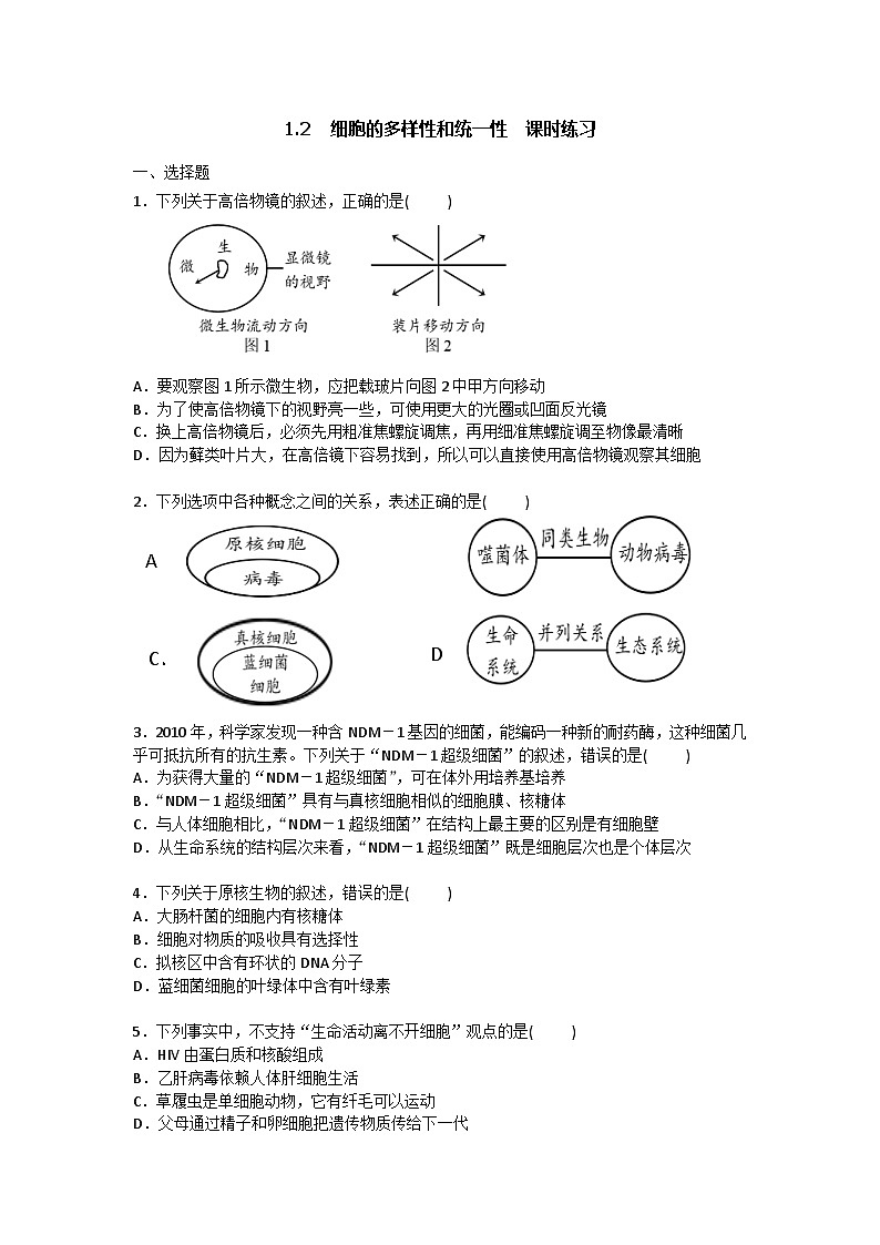 新人教版高中生物必修一 第一章第二节 细胞的多样性和统一性  课时练（含答案）01