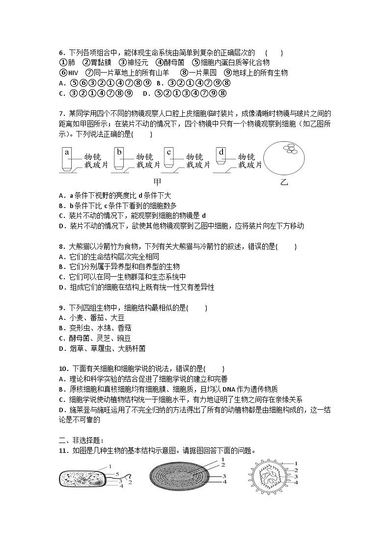 新人教版高中生物必修一 第一章第二节 细胞的多样性和统一性  课时练（含答案）02