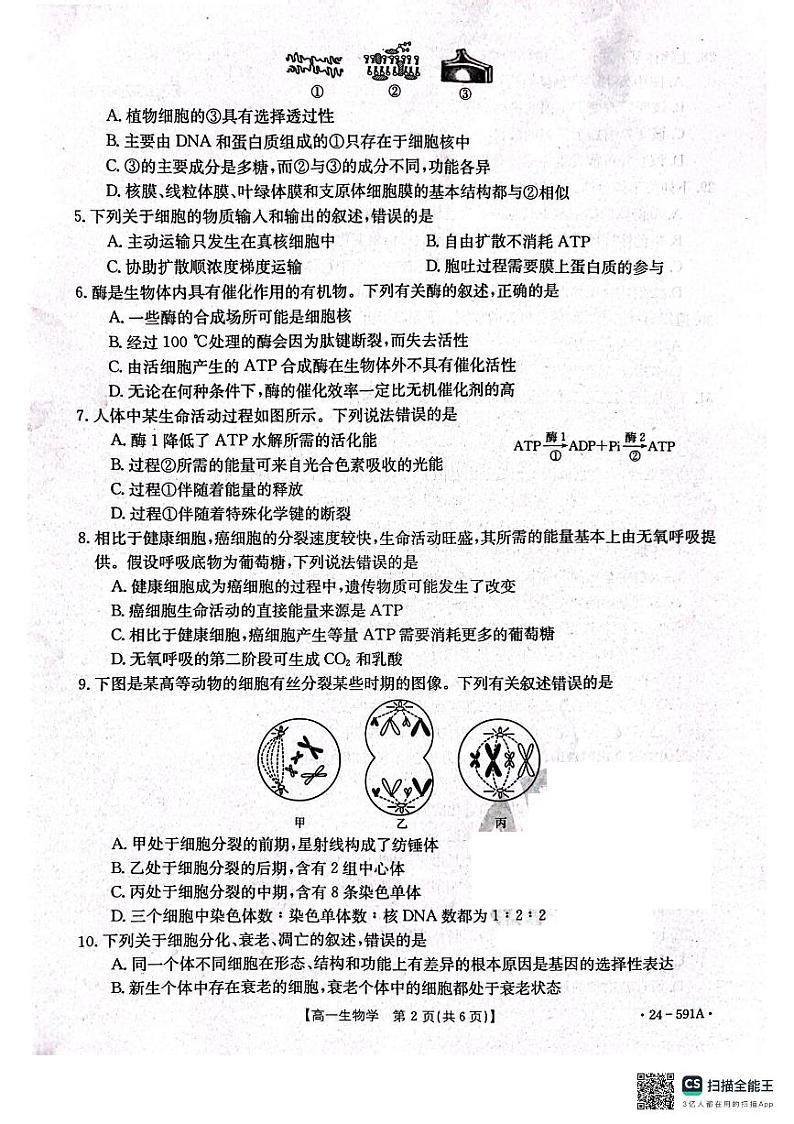 【高一】辽宁省辽阳市2023-2024学年高一下学期期末考试生物02