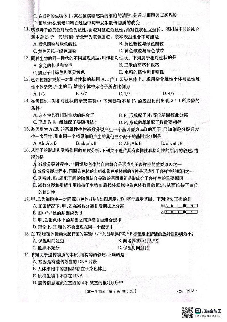 【高一】辽宁省辽阳市2023-2024学年高一下学期期末考试生物03