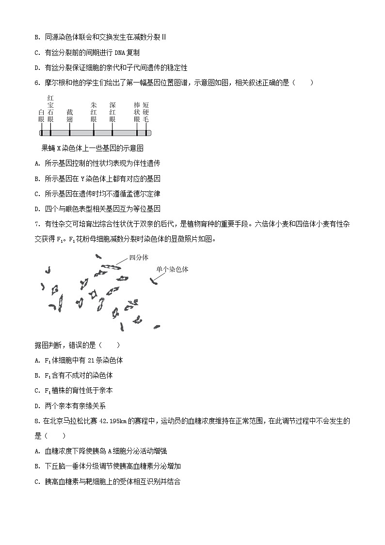 2024年北京高考学业水平等级性考试生物试题及答案02