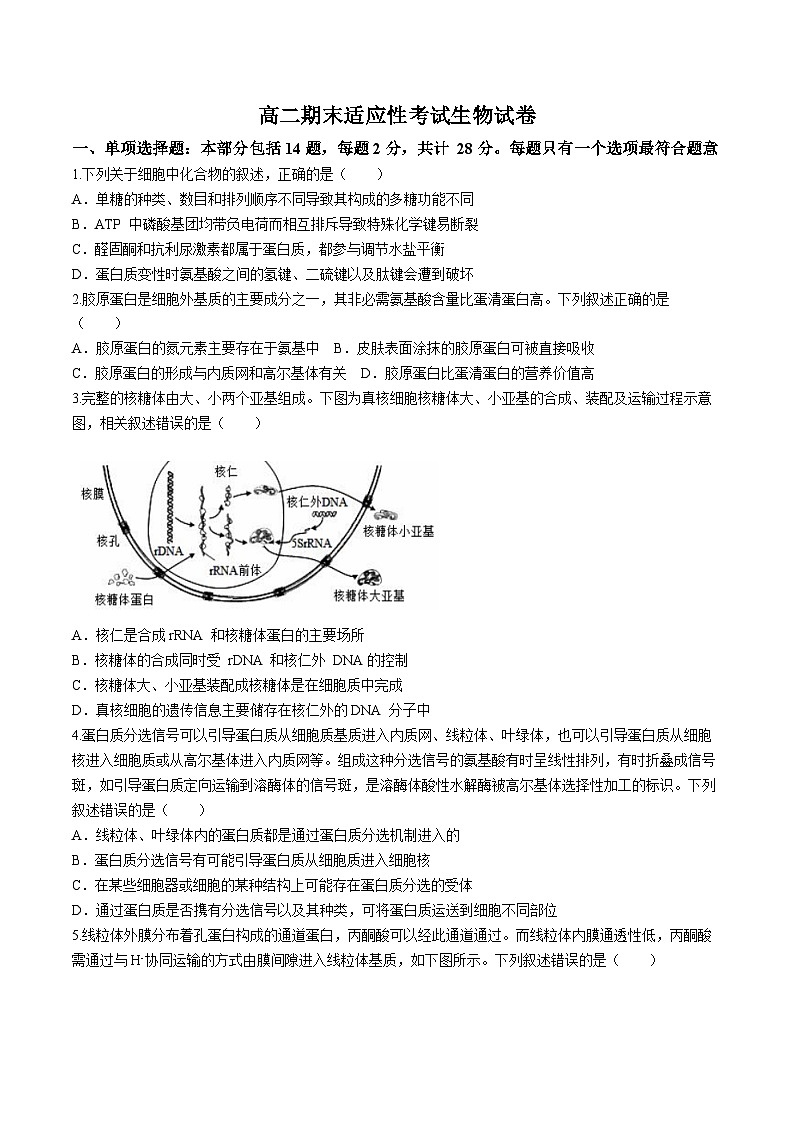 江苏省徐州市睢宁县2023-2024学年高二下学期期末适应性考试生物试卷第1页