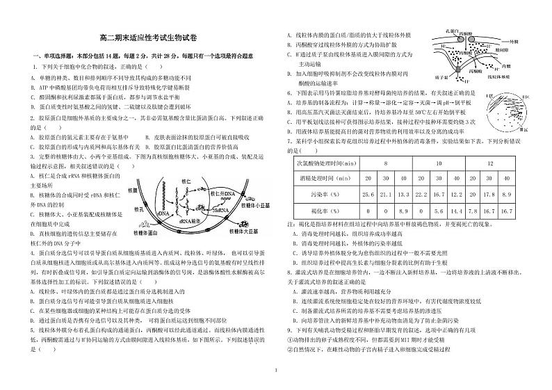江苏省徐州市睢宁县2023-2024学年高二下学期期末适应性考试生物试卷第1页