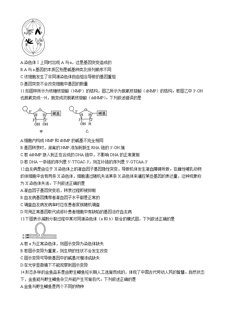 吉林省白山市2023-2024学年高一下学期7月期末生物试题03