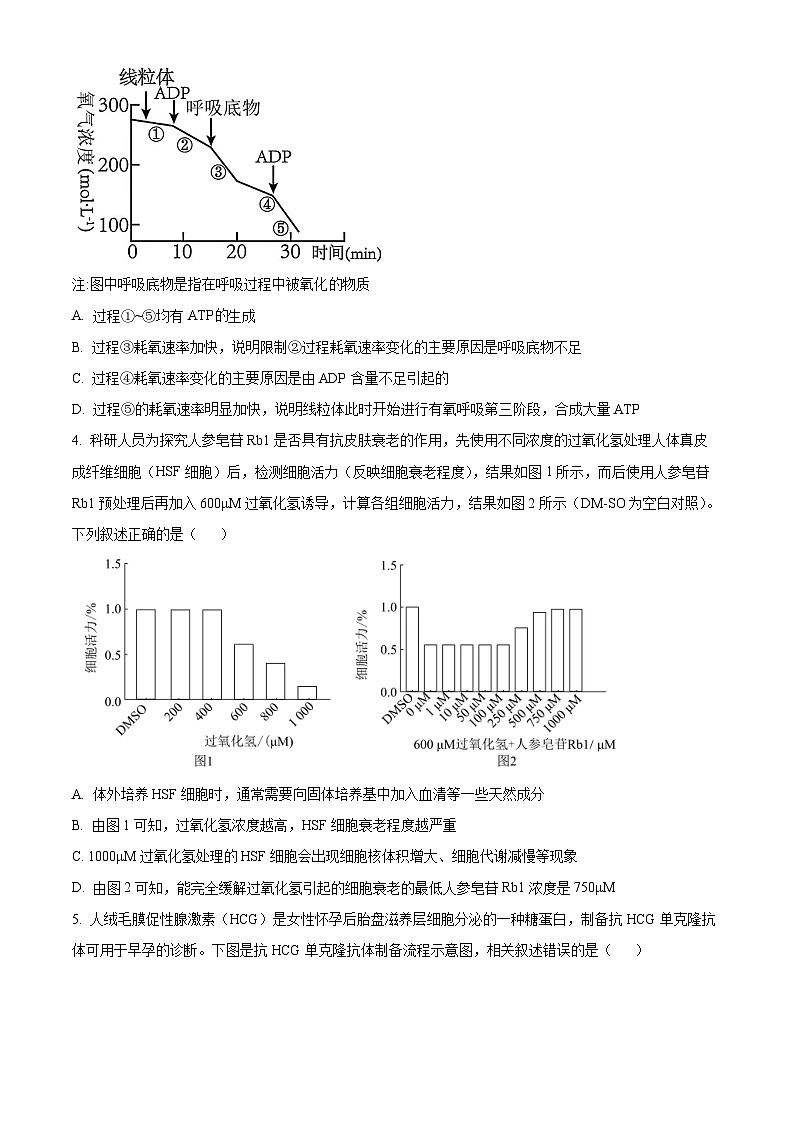 2024邵阳高二下学期7月期末生物试题含解析02