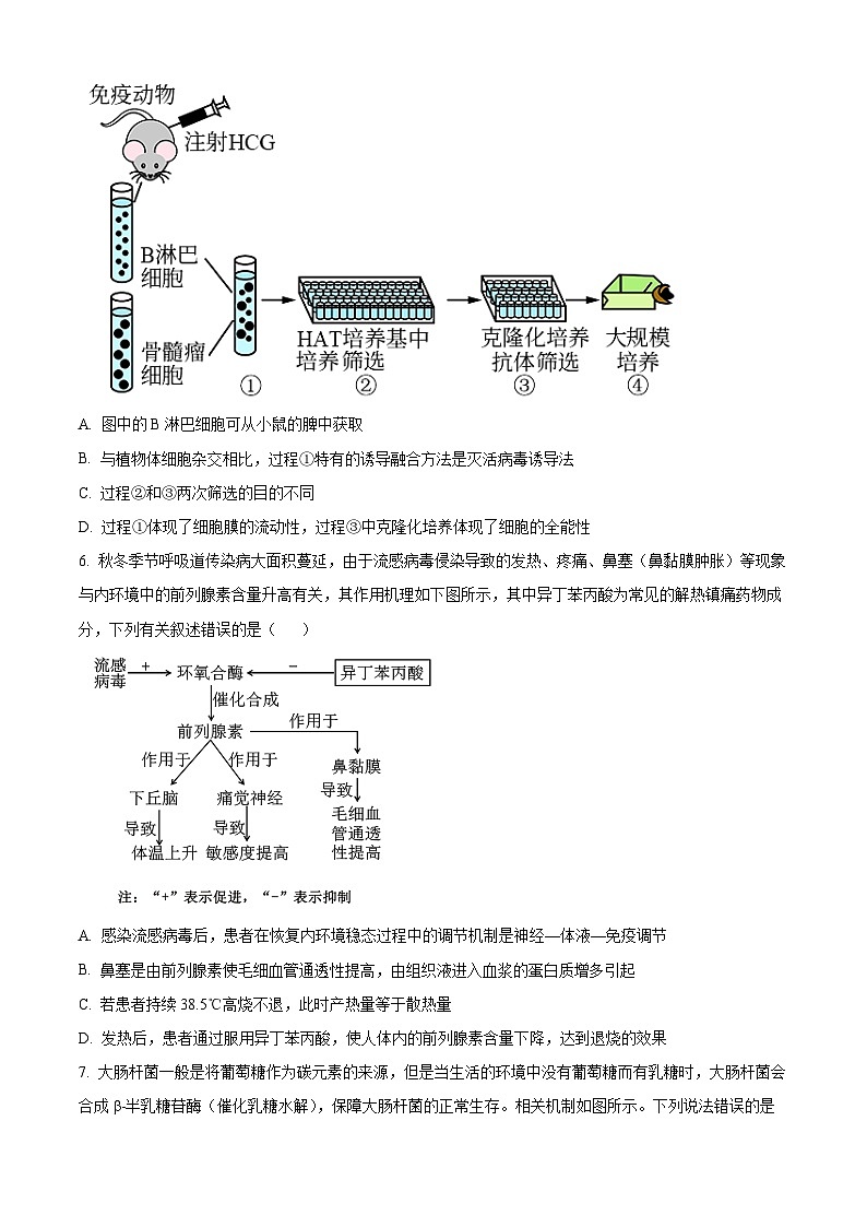 2024邵阳高二下学期7月期末生物试题含解析03