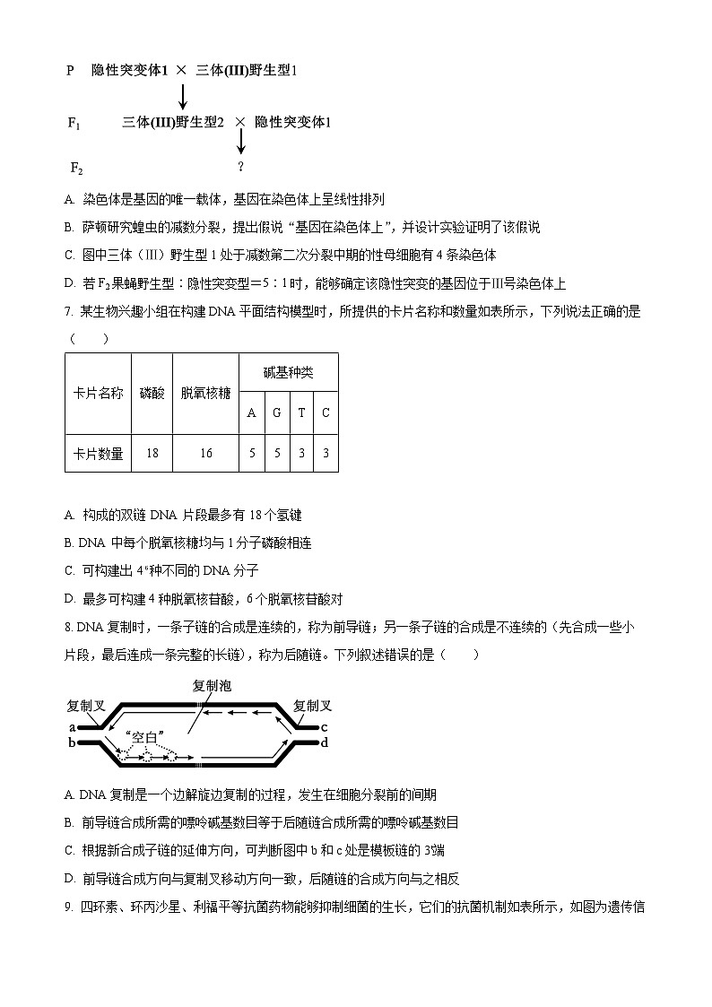 2024湖南省多校联考高一下学期期末考试生物试题含解析03