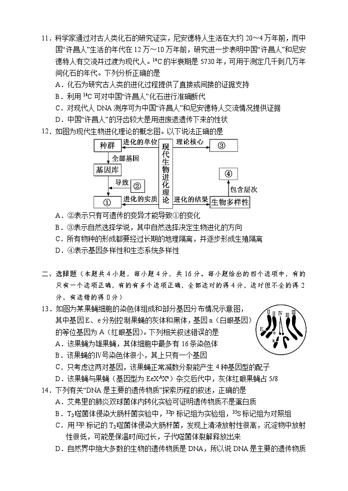 湖南省张家界市2023-2024学年高一下学期期末考试生物试题第3页
