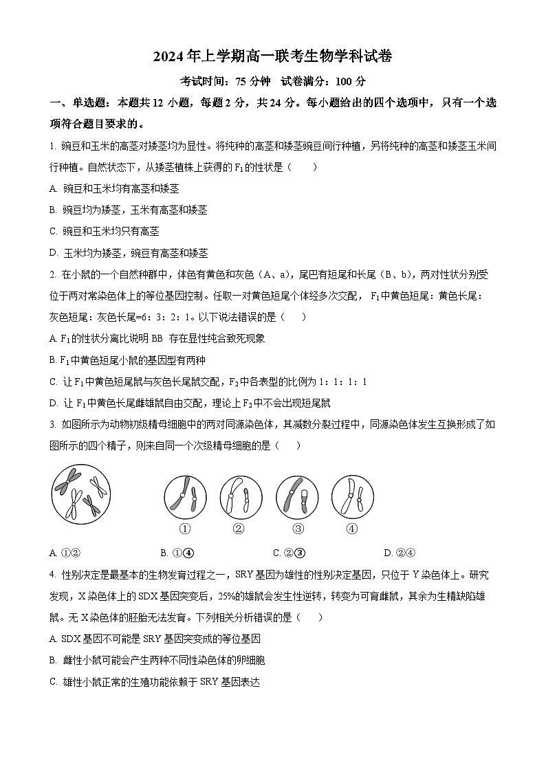 2024邵阳邵东223-高一下学期期末考试生物试题含解析01