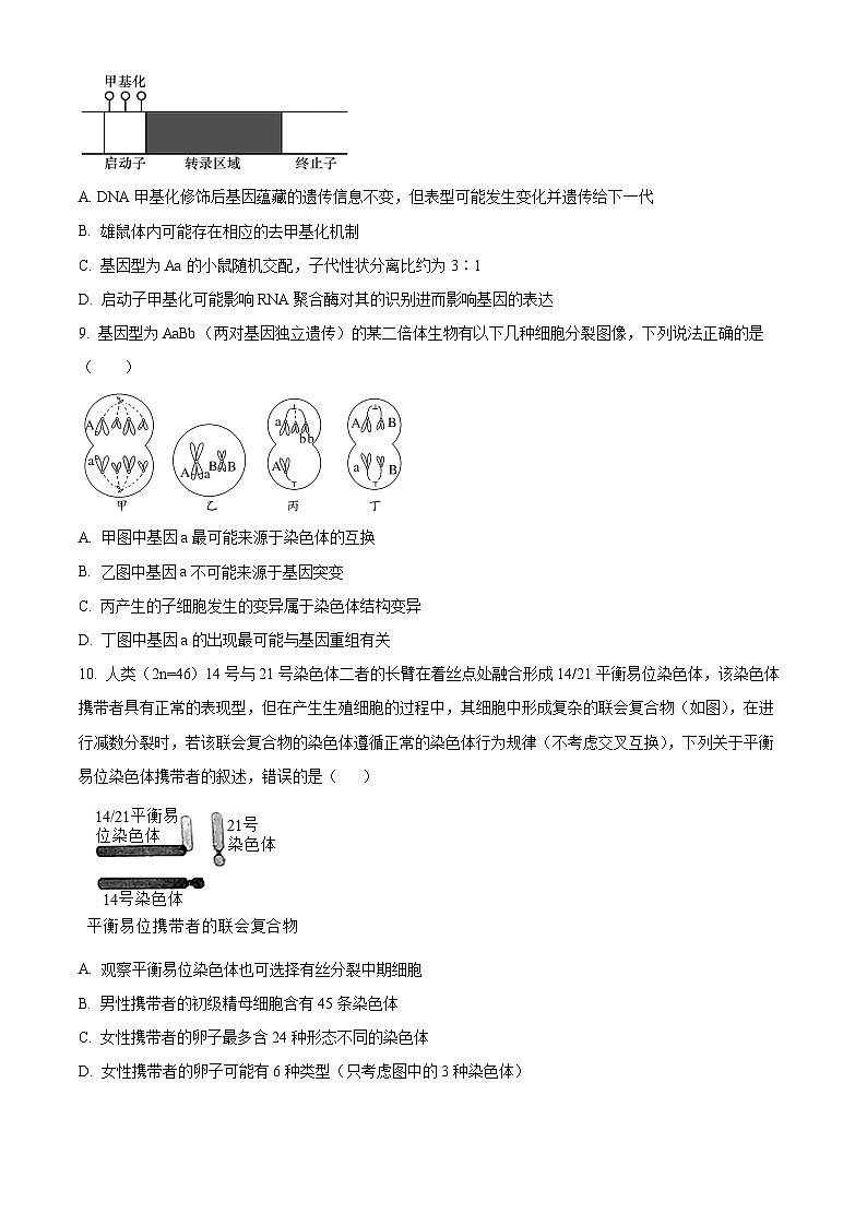 2024邵阳邵东223-高一下学期期末考试生物试题含解析03