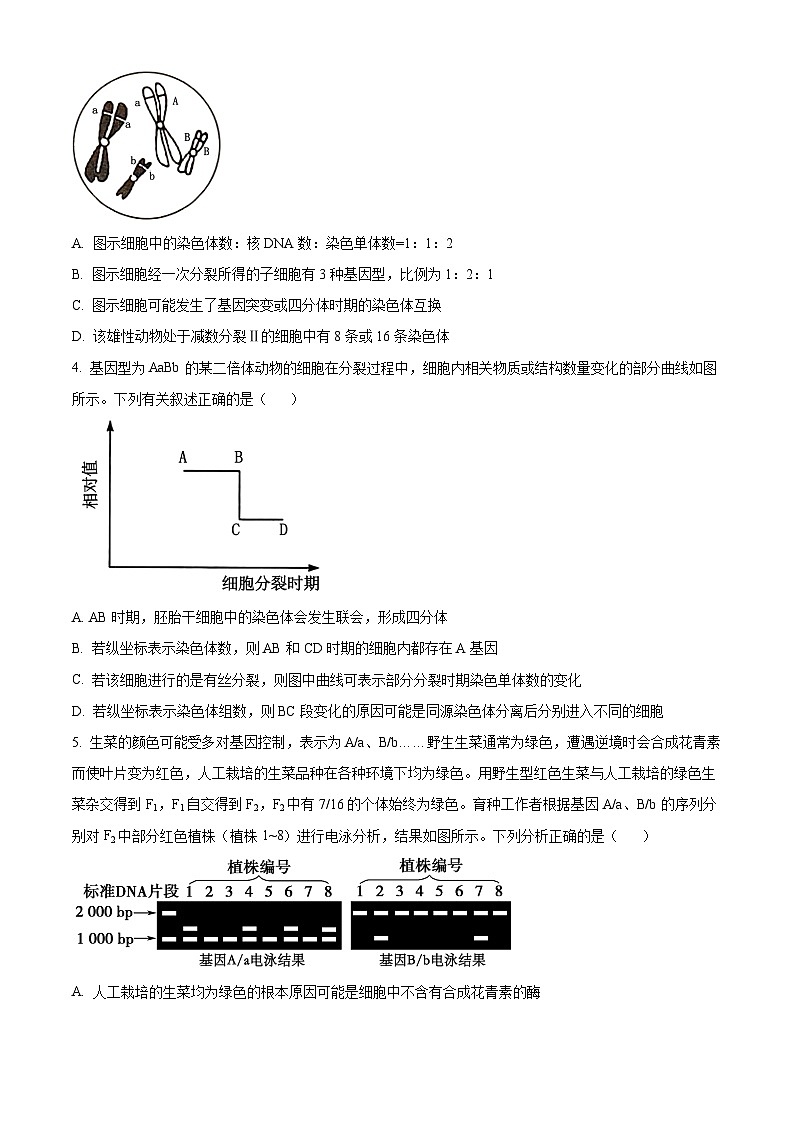 2024湖南省湖南省部分学校高一下学期7月期末生物试题含解析02