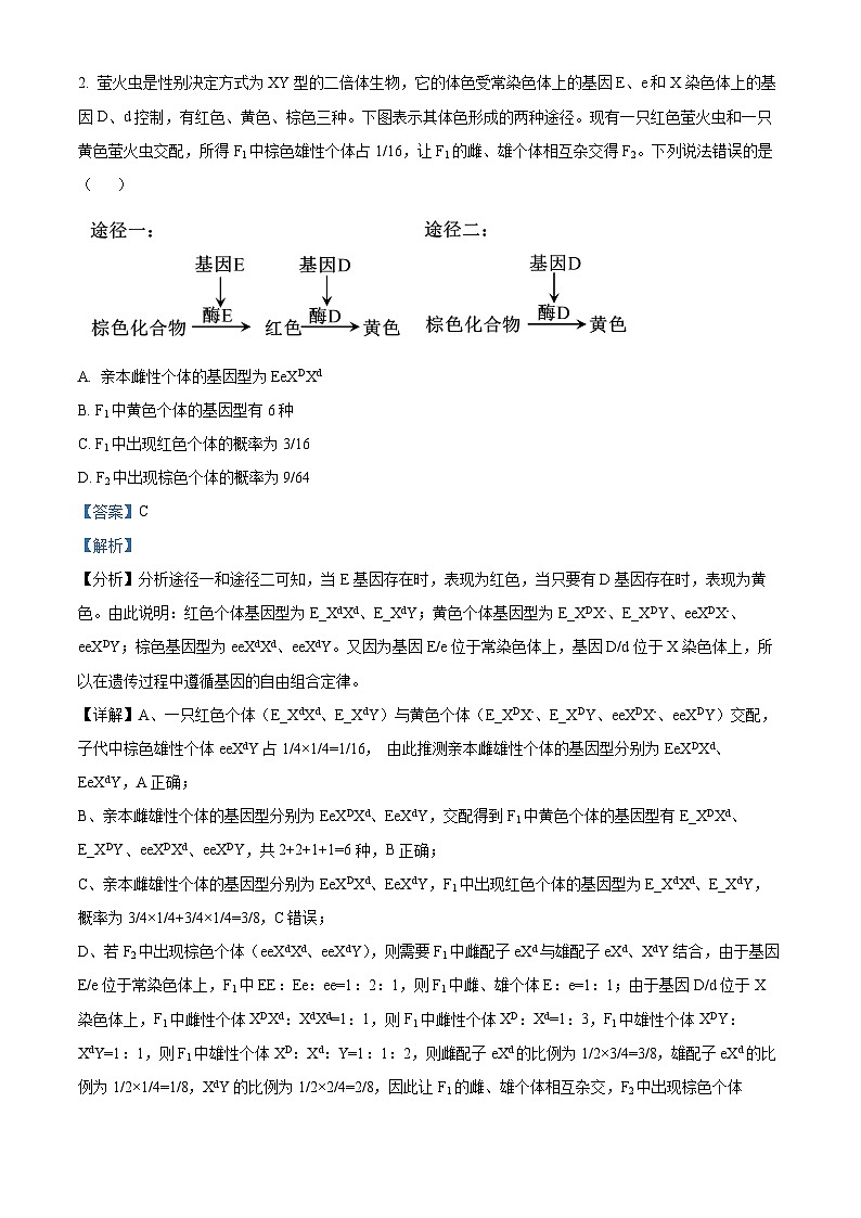 2024湖南省湖南省部分学校高一下学期7月期末生物试题含解析02