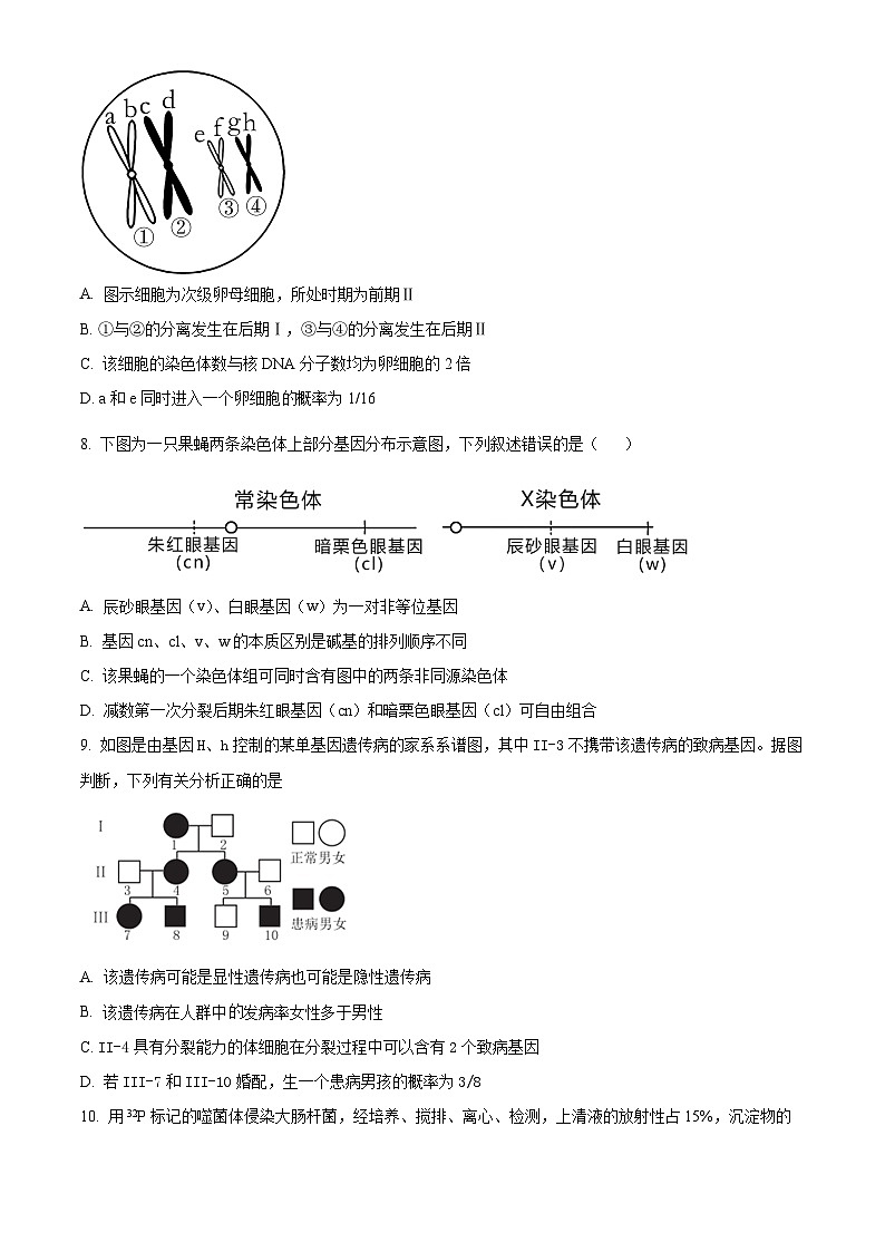 2024武汉常青联合体重点中学高一下学期期末联考生物试卷含解析03