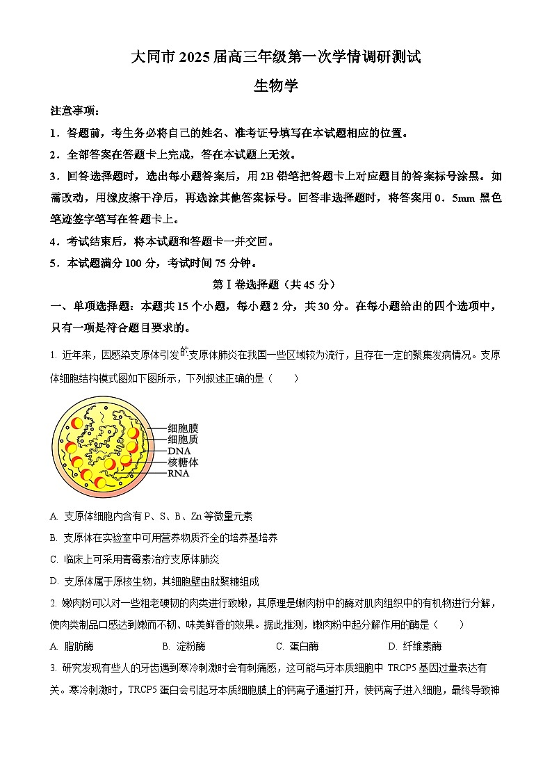 山西省大同市2025届高三年级第一次学情调研测试生物试题01