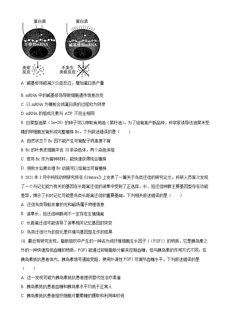 山西省大同市2025届高三年级第一次学情调研测试生物试题03